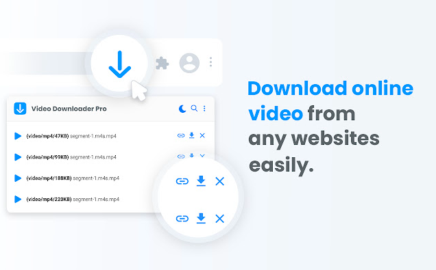 Any Video Downloader Pro