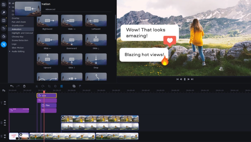 Movavi Video Editor Plus